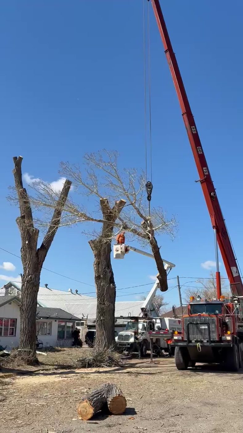 Crane removal, start to finish