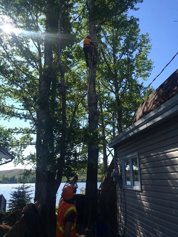 Rigging beside a cabin