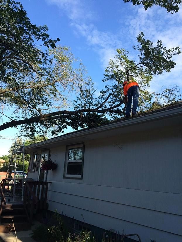 Storm limb off a roof