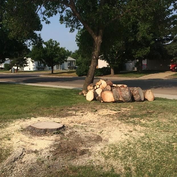 Cut, stacked, and cleaned up