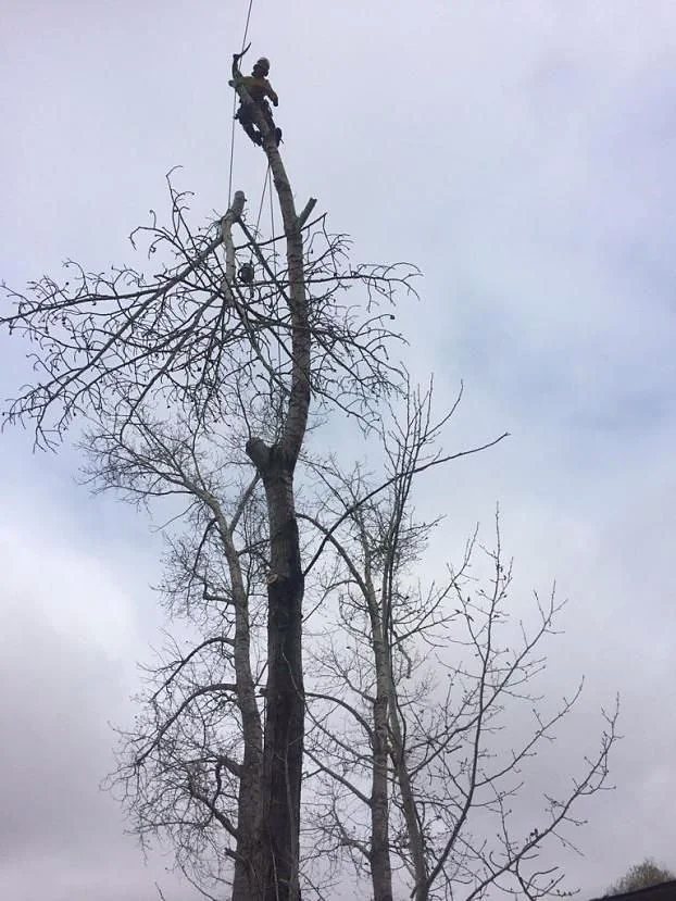 Taking it down in pieces