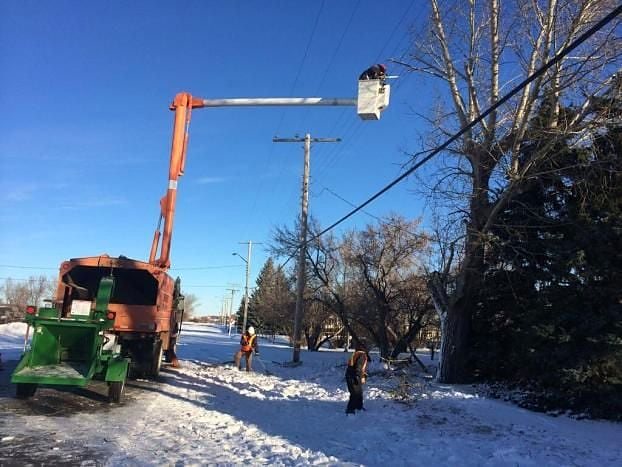 Line clearing in winter